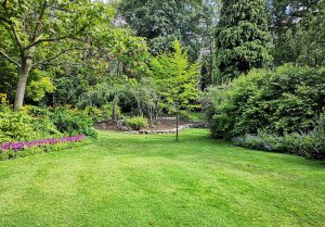 Optimiser l'expérience du jardin à Schalbach