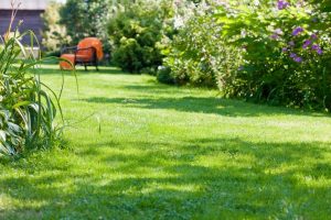 travaux jardin et paysage Schalbach